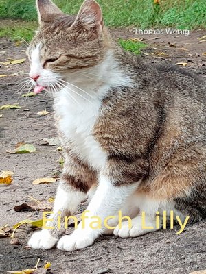 cover image of Einfach Lilly